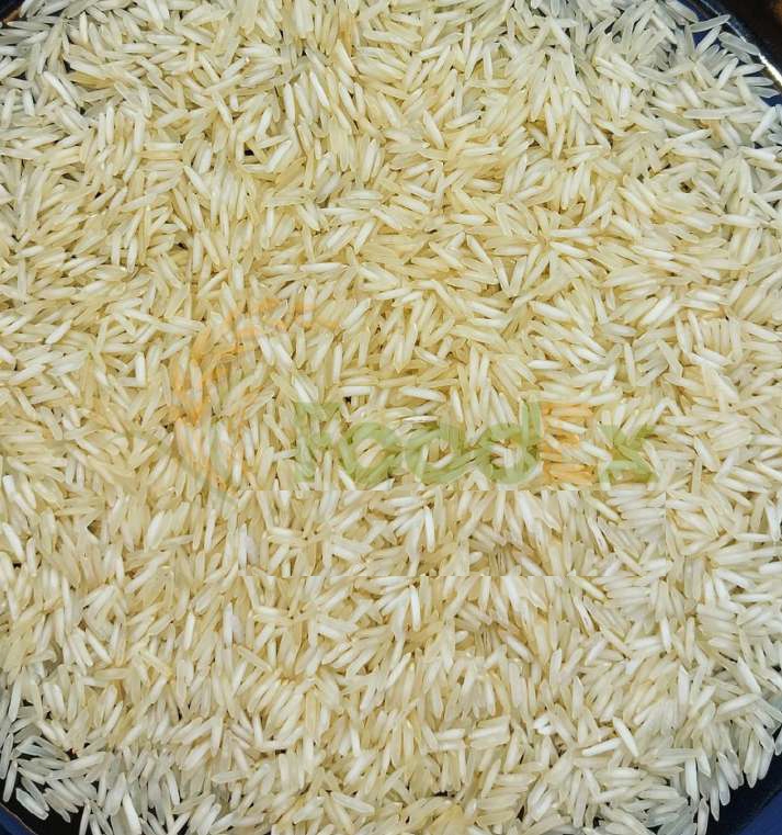 1121 Steam Basmati Rice from FoodEx Agro India