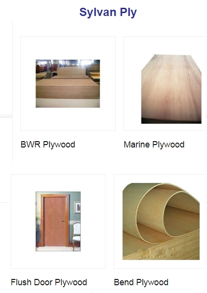 Sylvan Ply from Shree Jeen Plywood