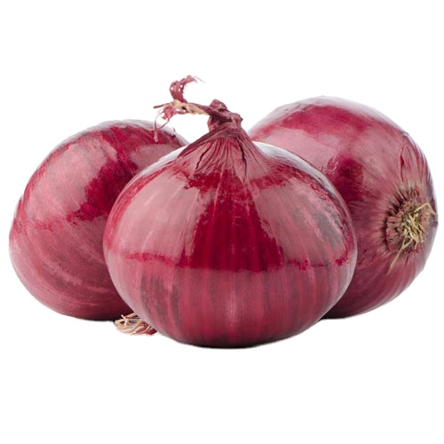 Premium Quality Natural Fresh Onion For Wholesale from DINESH TRADER
