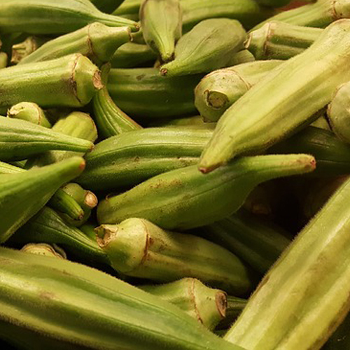 Organic Fresh Ladies Finger from EXPO TRADING