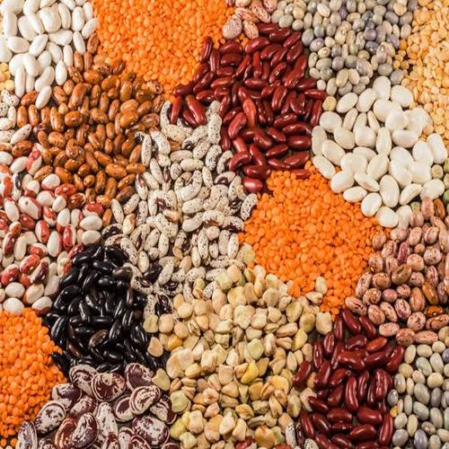 All Variety Pulses from Vishaali Exports