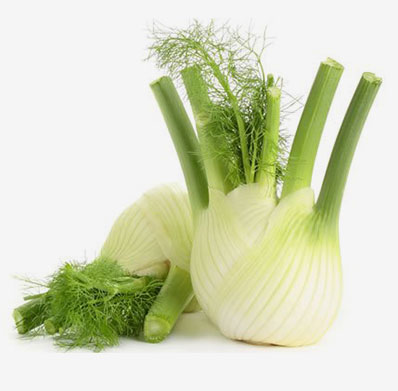 FENNEL FROM PRAMODA EXIM CORPORATION