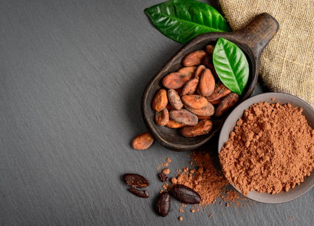 Premium Quality Cocoa Beans from Millennium Grains Imports & Exports