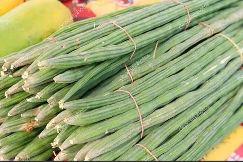 Drumstick ( Bulk Quantity & Export Inquiries Only) from Mithuna Foods