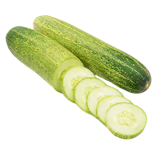 Premium Quality Natural Fresh Cucumber For Wholesale from DINESH TRADER
