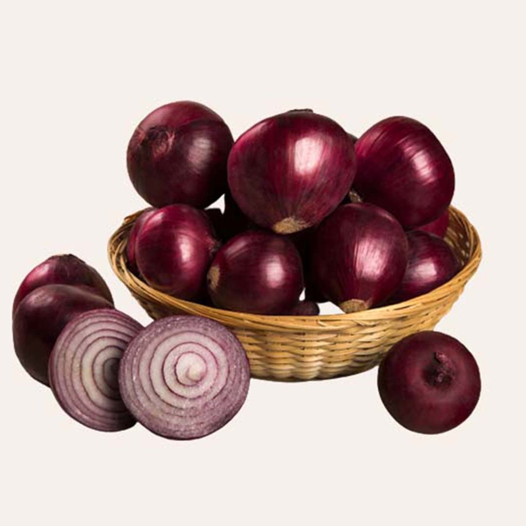ONION from Udaan Impex