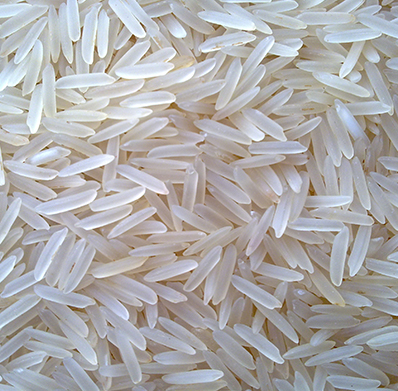 BASMATI RICE FROM PRAMODA EXIM CORPORATION