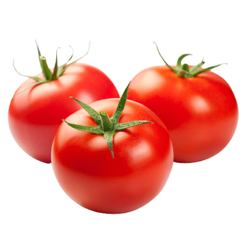 Premium Quality Natural Fresh Tomato from DINESH TRADER