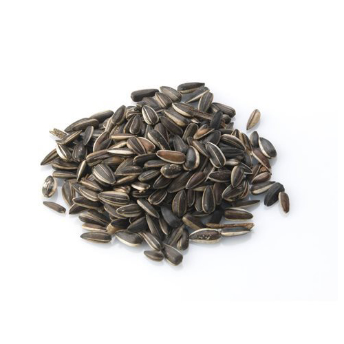 Export Quality Natural Sunflower Seed From Rameshwaram G Export Import Pvt Ltd from Rameshwaram G Export Import  Pvt Ltd