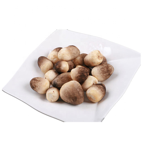 Premium Quality Natural Fresh Mushroom For Wholesale from DINESH TRADER