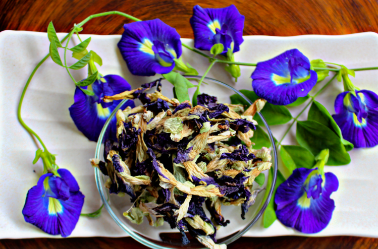 Butterfly Pea Flower