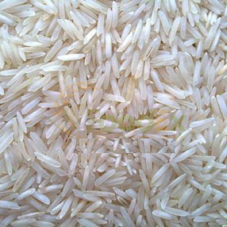 Sharbati Steam Basmati Rice from FoodEx Agro India