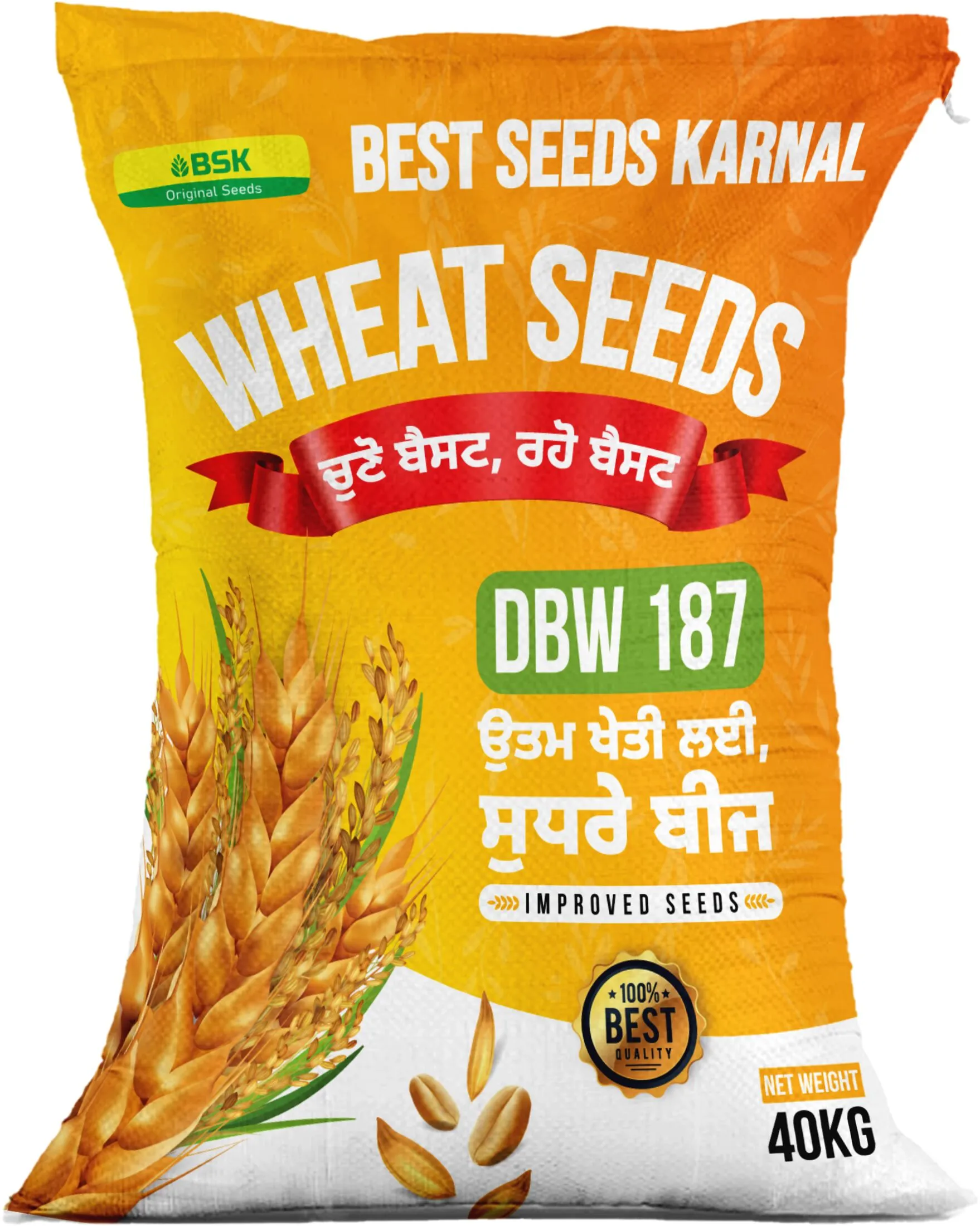 DBW 187  high yielding wheat variety from Best seeds Karanl