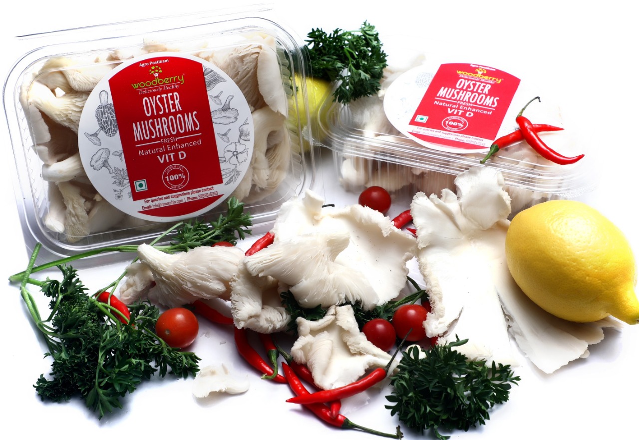 Oyster Fresh- 100% Chemical Free Mushrooms from Woodberry Mushrooms