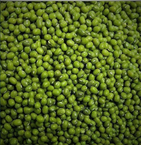 Moong Polish Dal (Grade1) from TIRUPATI INDUSTRIES 