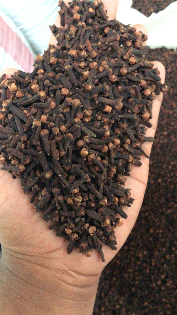 Top Quality Cloves (Loung) from Gurukripa Trading Co