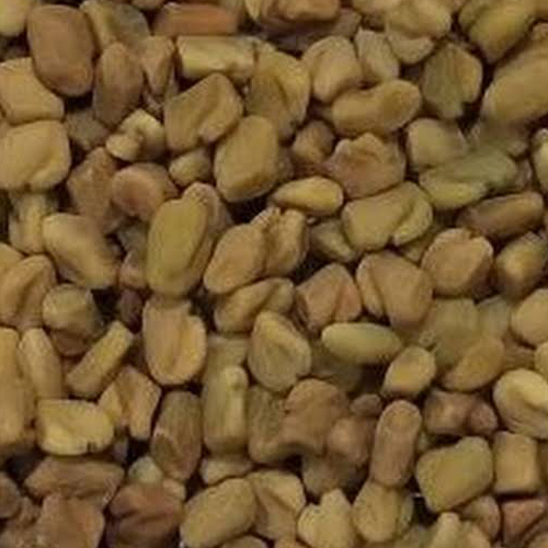 Fenugreek From Alfa Impex from Alfa Impex