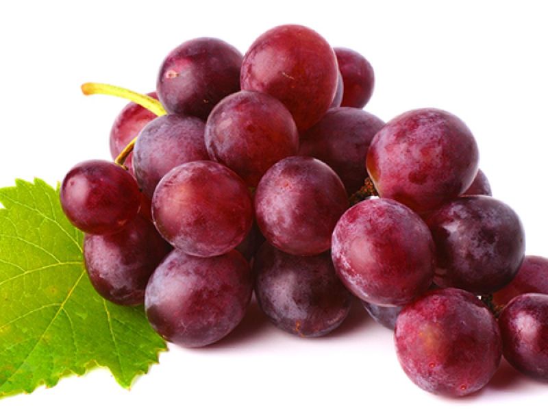 Best Quality Fresh Red Grapes From Juned and Sons from JUNED AND SONS
