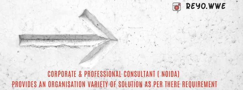 Corporate consultation
