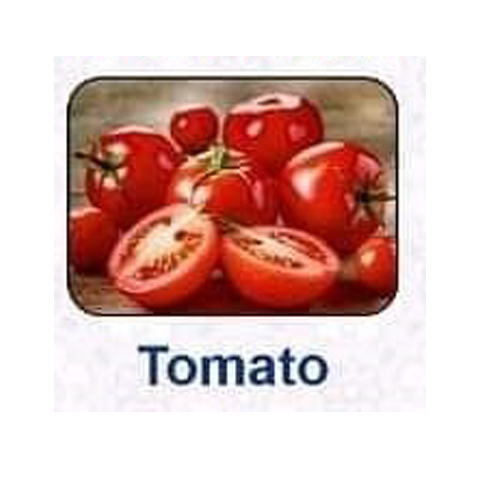 Best A Grade Export Quality Tomato from SMALL MARKET EXIM India