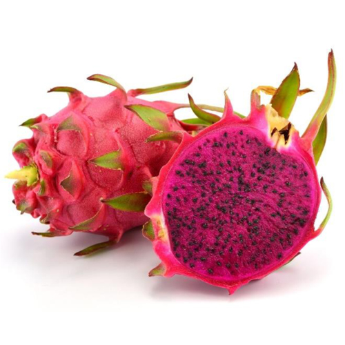 Fresh Organic Dragon Fruit from Anmol Dragon Fruit Farm