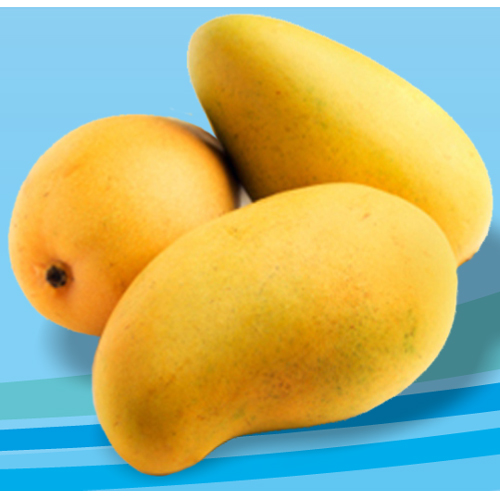 Best Quality Mallika Mango from Ranee's Fresh