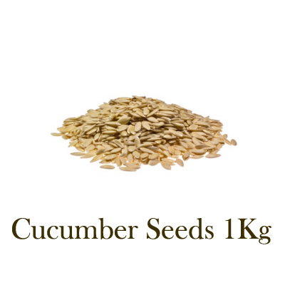 Cucumber Seeds 1Kg from Mynuts