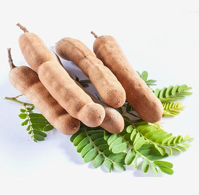TAMARIND FROM PRAMODA EXIM CORPORATION