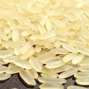 Organic Swarna Non Basmati Rice from JUNED AND SONS